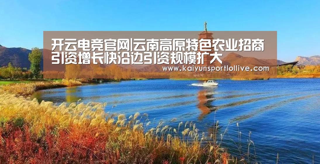 开云电竞官网