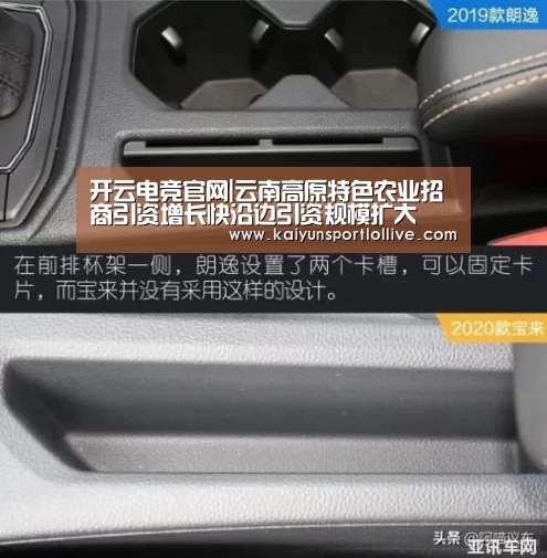 开云电竞官网|云南高原特色农业招商引资增长快沿边引资规模扩大