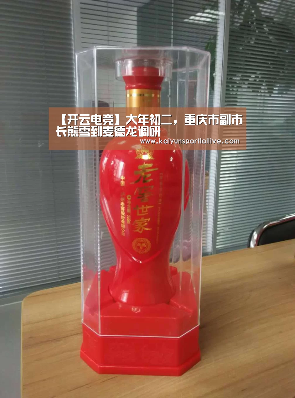 【开云电竞】大年初二，重庆市副市长熊雪到麦德龙调研
