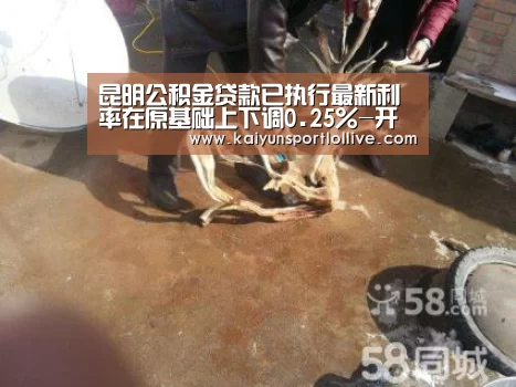 昆明公积金贷款已执行最新利率在原基础上下调0.25%-开云电